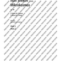 Mikrokosmos