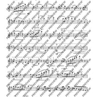 Dance of the Dragonflies