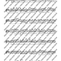 Twelve Etudes