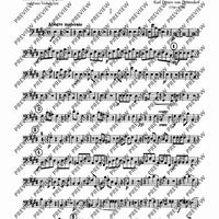 Concerto E Major - Cello/double Bass