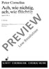 Ach, wie nichtig, ach, wie flüchtig - Choral Score