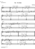 So-Ho Sole - C Instrument
