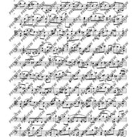 Introduction and Scherzino