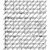Concertino classico D major - Score