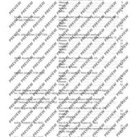 Flute Duets - Performing Score