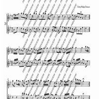 The Flourishing Baroque Period - Performing Score