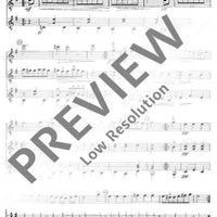 Musik der Wiener Klassik - Performing Score