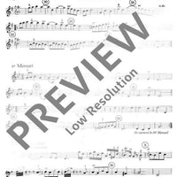 VI. Concert in G minor - Violin Iii