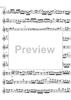 Eclipse - Tenor Recorder
