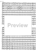 Wiener Phantasie - Score