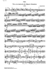 Trio a la memoria de Alberto Ginastera - Violin