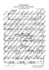 9 Variationen über das Air Russe „Schöne Minka“ & 7 Variationen über ein „Thema russo“ / „Zigeunerlied“