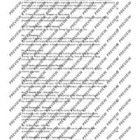 The Flute Expedition