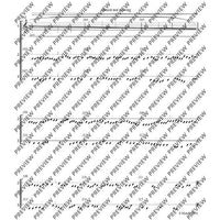 Adiantum Capillus-Veneris III (Maidenhair fern III)