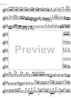 Concerto No. 5  A Major KV219 - Violin
