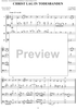 Trios and Quartets for Double Basses, Volume III