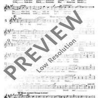 Am schönen Rhein gedenk ich dein - Soprano