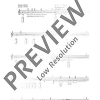 For the contemporary flutist