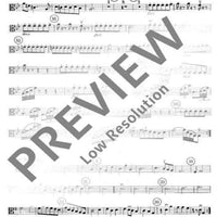 VI. Concert in G minor - Viola