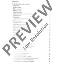 The Modern Recorder Player