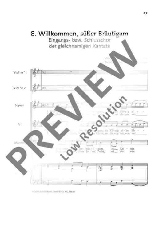 Willkommen, süßer Bräutigam