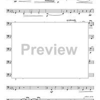 Quintet No. 1 - Tuba