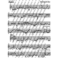 Holledauer Marsch/ Waldler-Marsch - Set of Parts