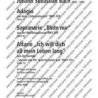 Adagio from the Easter Oratorio