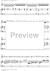 Violin Sonata No. 3 - Piano Score