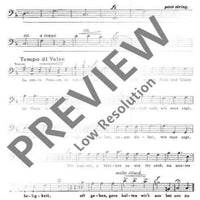 Bei uns z' Haus - Bass Ii