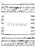 Concerto No. 2 C Major KV314 - Score