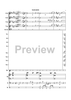 The Spin Doctor - Score