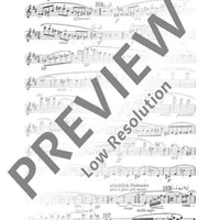 Orchesterstudien aus seinen Bühnenwerken: Klarinette