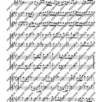 Flute Duets - Performing Score