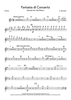 Fantasia di Concerto - Piccolo
