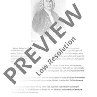 Die verschwundenen Noten oder "Aufregung vor den Ferien“