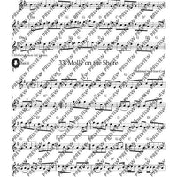 Irish Folk Tunes for Descant Recorder