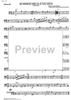 Schmeichelkätschen Op.226 - Cello