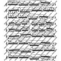 100 Technical Paraphrases on Kreutzer-Etudes