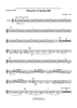 Memories of Spring Hill - Bb Trumpet 2