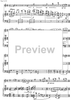 Variation on Béla Bartók theme - Score