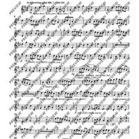 Mock Morris - Tenor Recorder