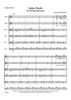 Salsa Verde for String Orchestra - Score