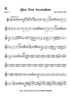 Quo Non Ascendam - Horn 3