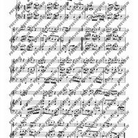 In the Rhythm of the Baroque