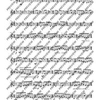 The Flute Expedition