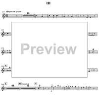 Concerto for Mandolin and Orchestra in F major - Horn in F 2