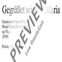 Gegruesset seist du, Maria - Choral Score