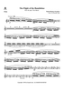 The Flight of the Bumblebee from the opera "Tsar Sultan" - Flute