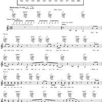 The Man Who Loves Women